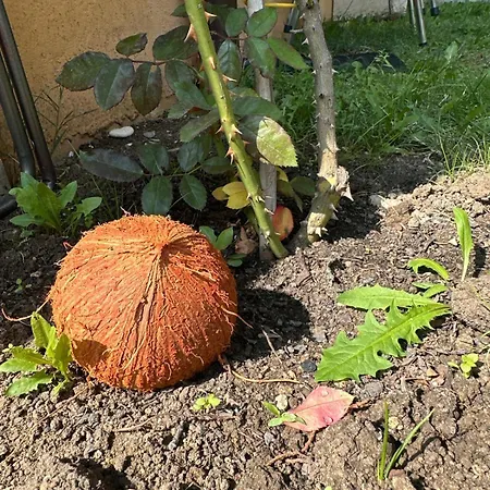 Boulevard Sea Residenz 5*