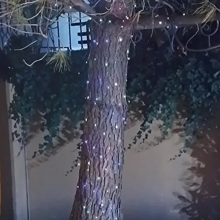 מלון Boulevard Sea Residenz