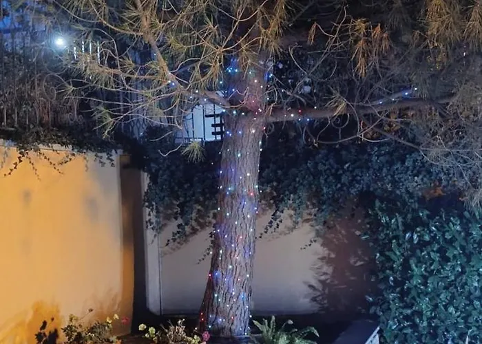 Boulevard Sea Residenz 5* Солнечный берег