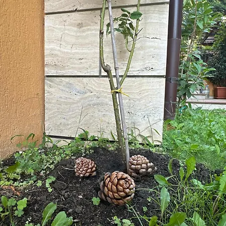 Boulevard Sea Residenz 5*